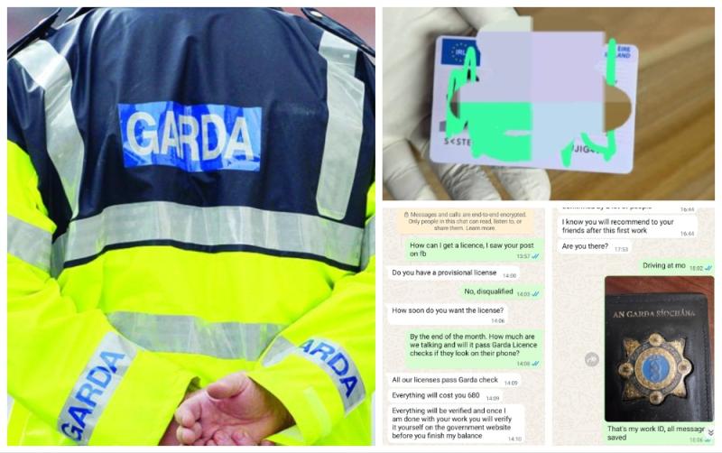 Gardaí sting scammer offering fake Irish driving licences in hilarious WhatsApp exchange