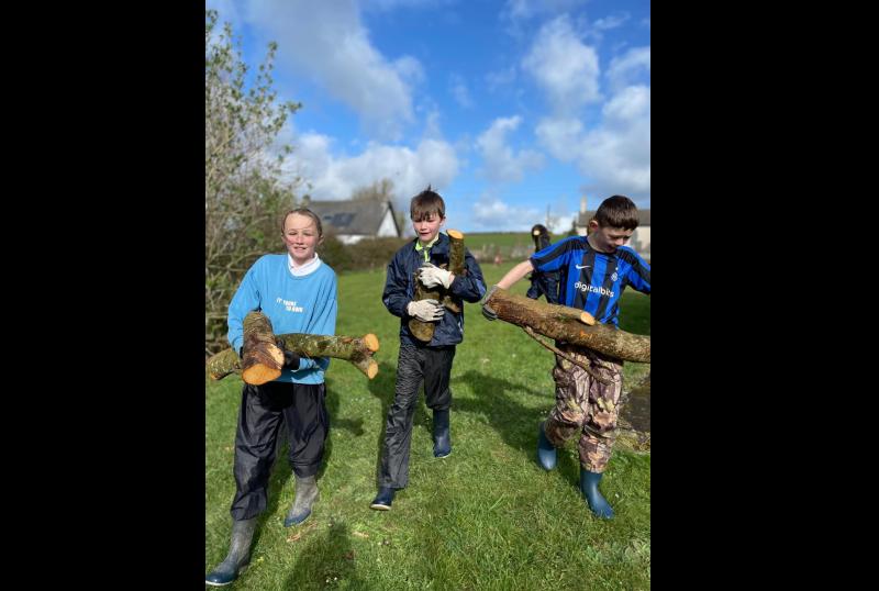 Green-fingered pupils in Limerick get biodiversity grant boost for their school