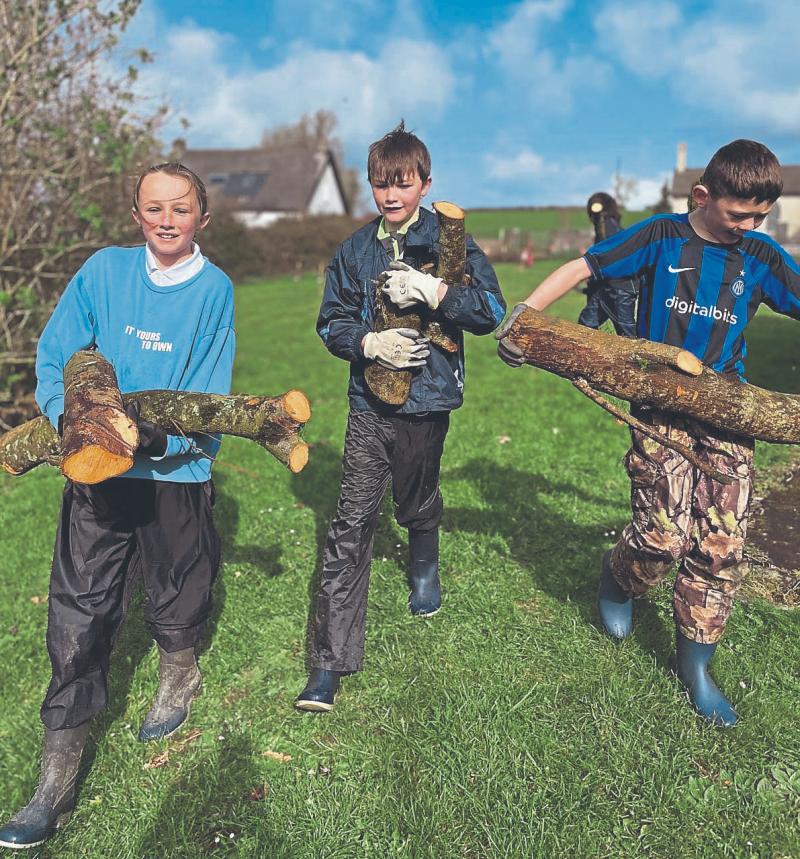 Green-fingered Limerick pupils get biodiversity grant boost