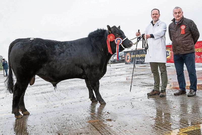 Limerick hurler Shane O’Brien not the only ‘bull’ putting on quality displays in his hometown