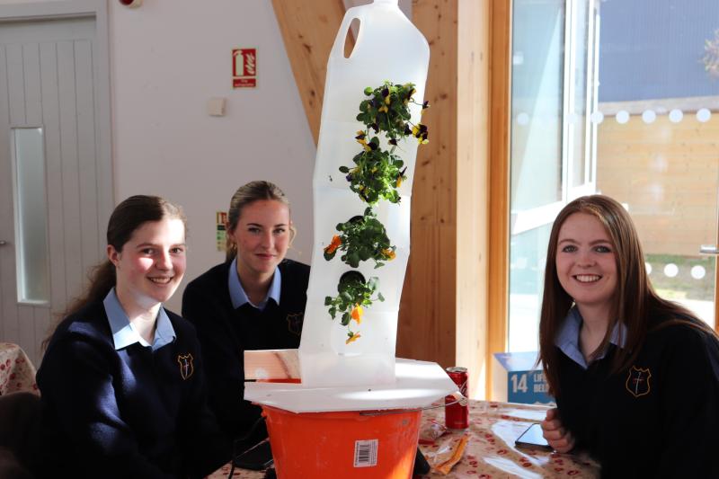 Green Limerick: Young climate activists make national awards final