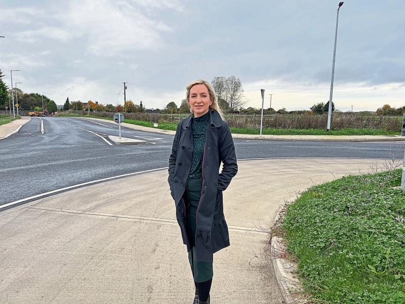 Concern over cuts to number of family homes at new Limerick estate