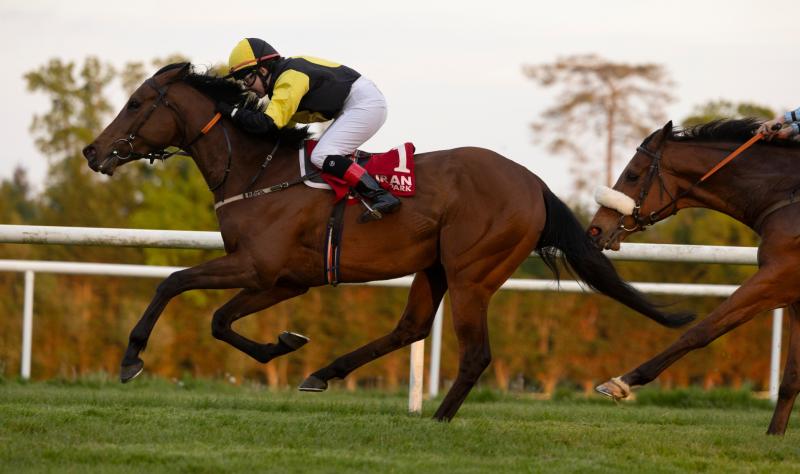 Thrilling Herbertstown family success at Gowran Park