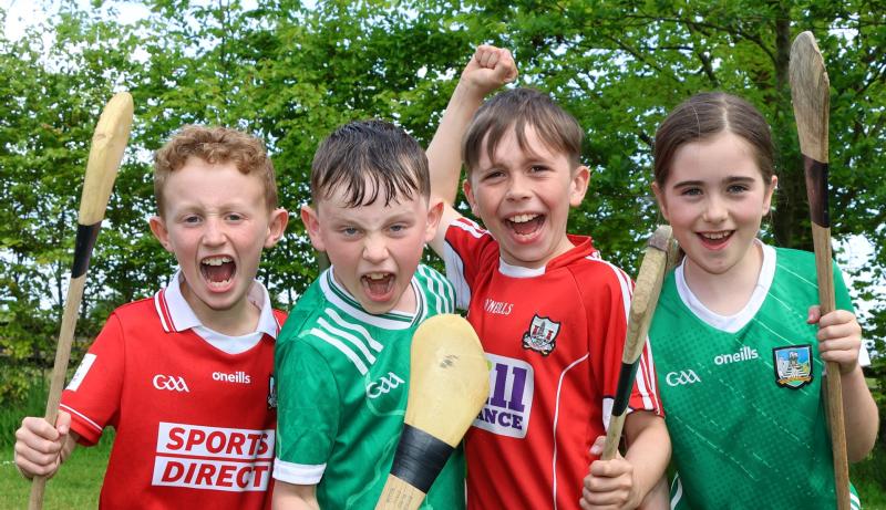 'This could fill Croke Park!' Rivals ready for a red-hot hurling  firestorm in Limerick on Sunday
