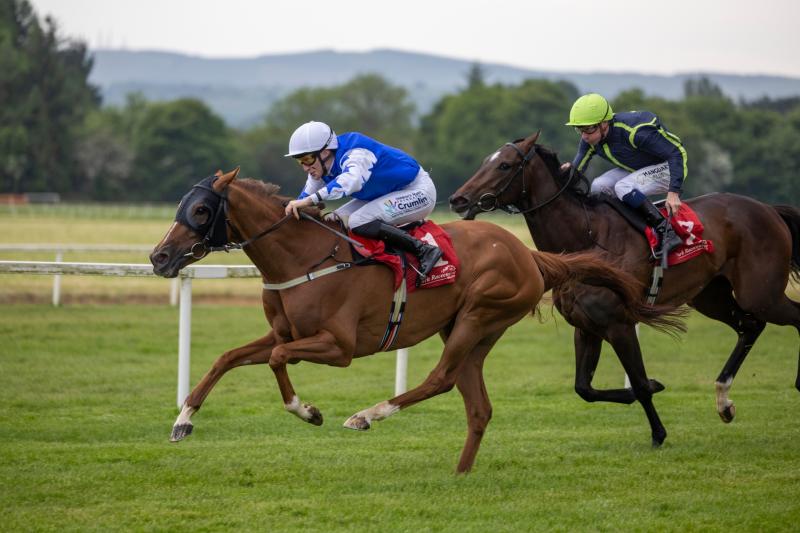 Limerick jockey Billy Lee enjoys five winners in the one week