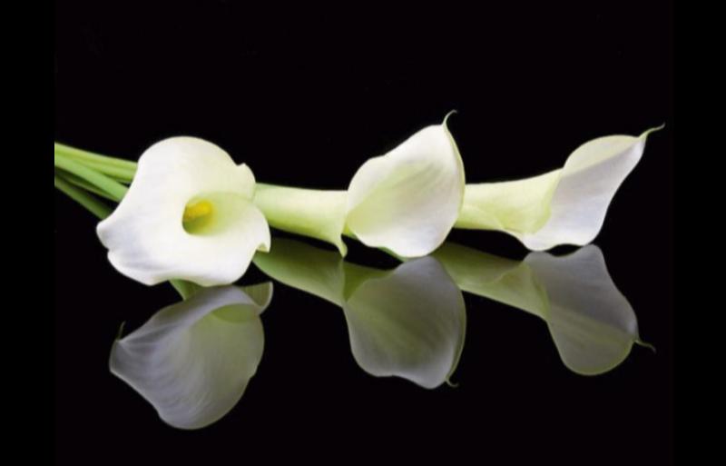 RIP: Tipperary deaths and funeral details, May 30