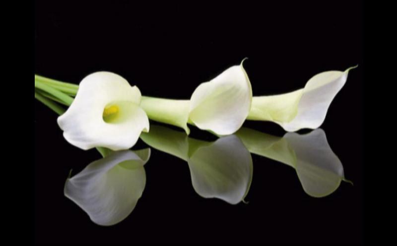 RIP: Tipperary deaths and funeral details, May 30