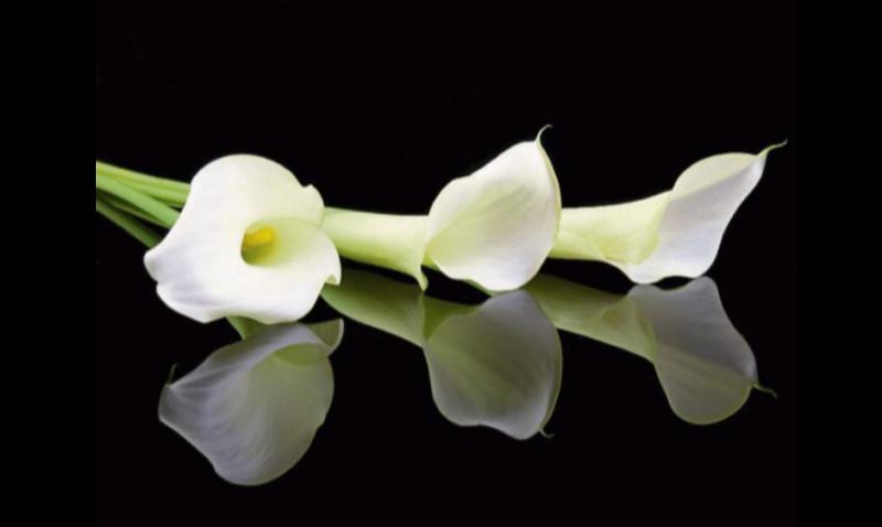 RIP: Tipperary deaths and funeral details, May 30