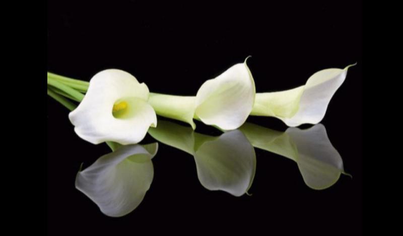 RIP: Tipperary deaths and funeral details, May 30