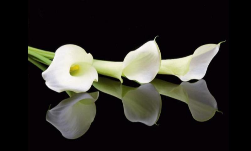 RIP: Tipperary deaths and funeral details, May 30