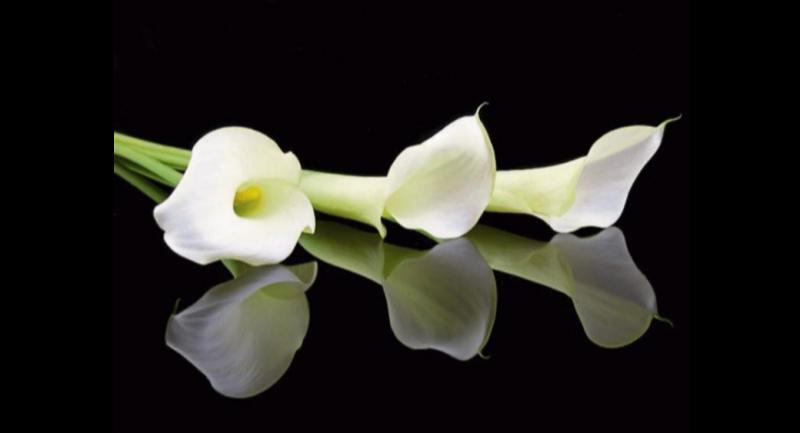 RIP: Tipperary deaths and funeral details, May 30