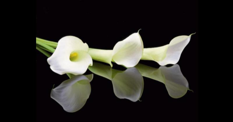 RIP: Tipperary deaths and funeral details, May 30