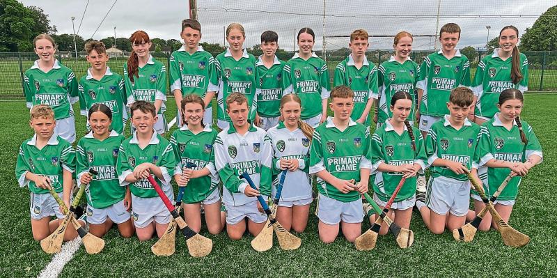 Limerick family ties aplenty as young  stars  play in the  Primary Game