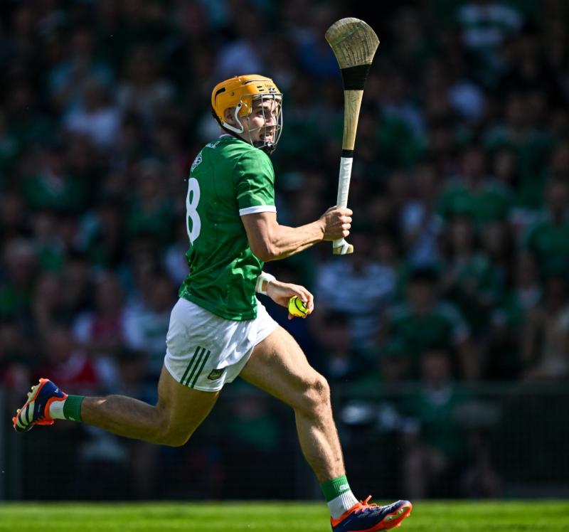 Two Limerick hurling stars named on GAA.ie team of the week