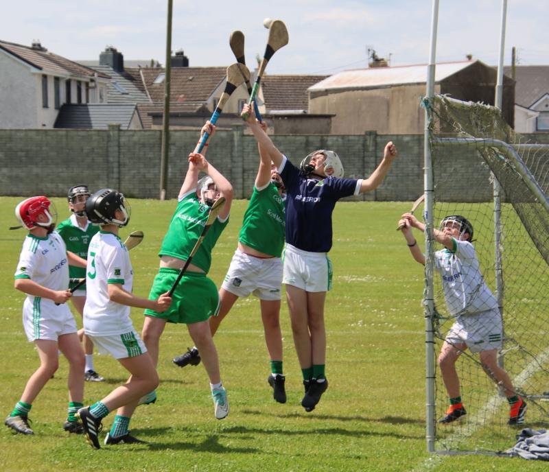 Four Limerick primary schools set to compete for prestigious hurling accolade