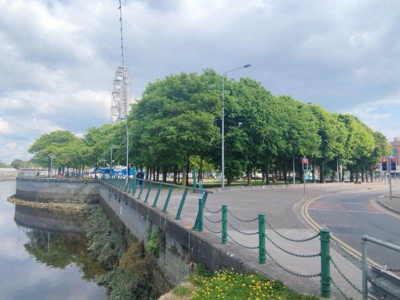 An Taisce express concern over future of trees in Limerick park