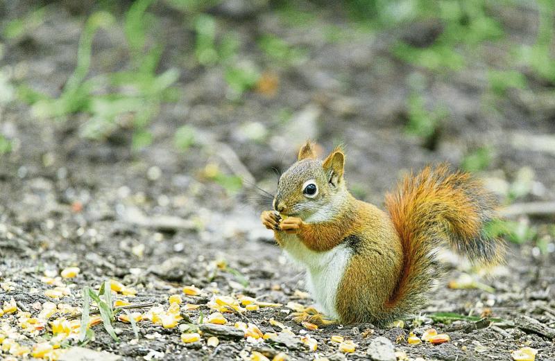 People of Limerick urged to calculate their 'monthly nut' to aid financial planning