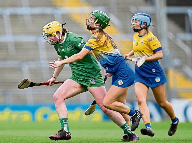 Limerick camogie star Sophie O'Callaghan: 'We showed incredible character to bounce back'