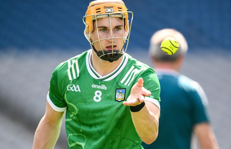 Two Limerick hurlers named in GAA.ie Team of the Week