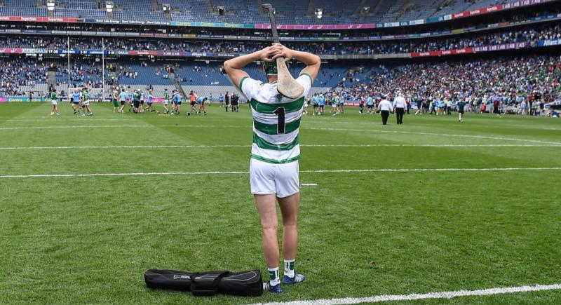 Five major talking points from Limerick senior hurlers season
