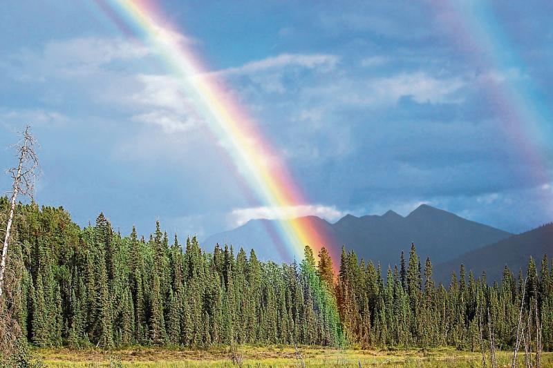 Rainbows v landmines: Sometimes it is best to have  a third party involved in your finances