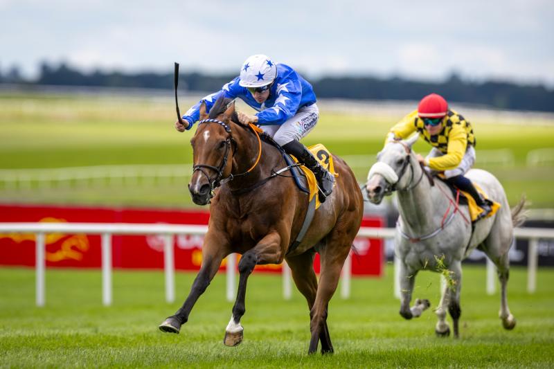 Limerick jockeys Billy Lee and Chris Hayes continue fine flat form
