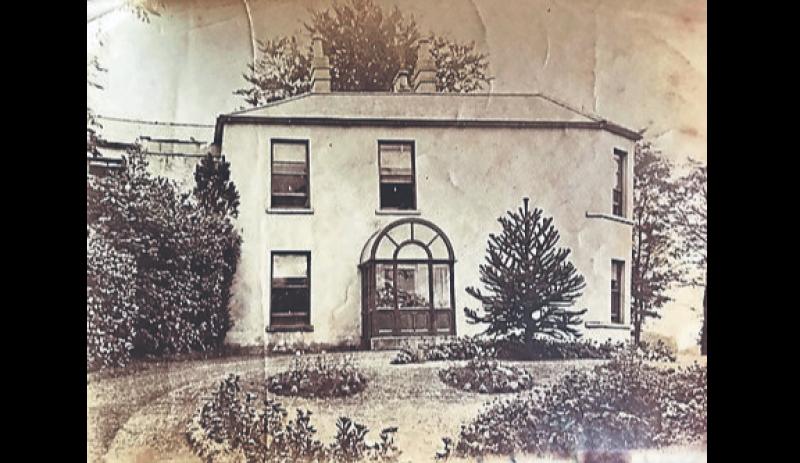 If Walls Could Talk:  The rise and fall of Castletroy&rsquo;s forgotten grandeur