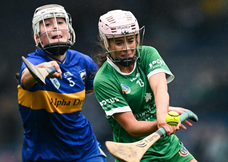 Limerick Camogie County League finals set to be played out this weekend 