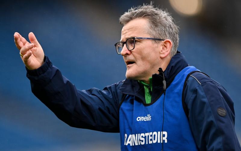 Limerick wait on key injuries ahead of Tailteann Cup final in Croke Park