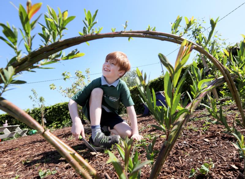 Limerick schools honoured with 'Nature Hero' award for environmental efforts 