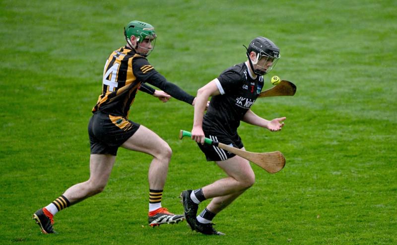 Fixtures revealed for opening round of Limerick Premier Intermediate Hurling Championship