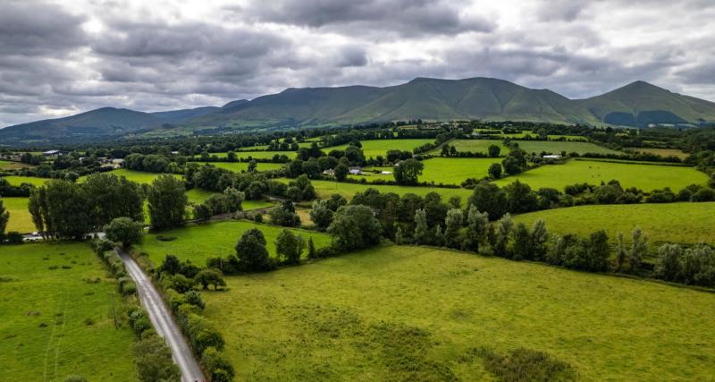 Ballyhoura backs biodiversity with community heritage grant