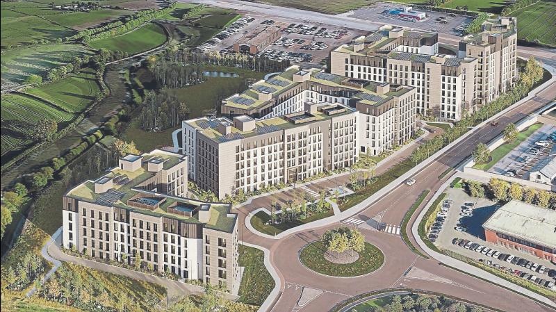 Up to 74 bats found on site earmarked for student halls 