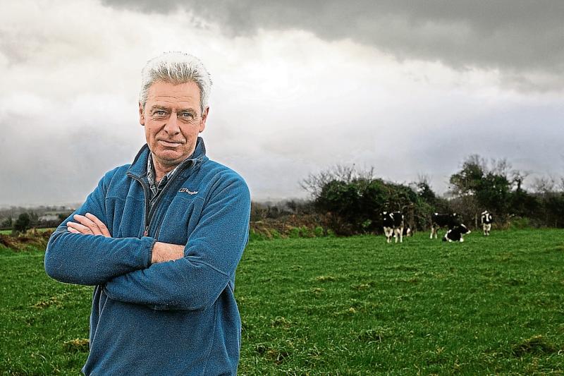 Farming association in bullish mood on milk and beef prices in Limerick