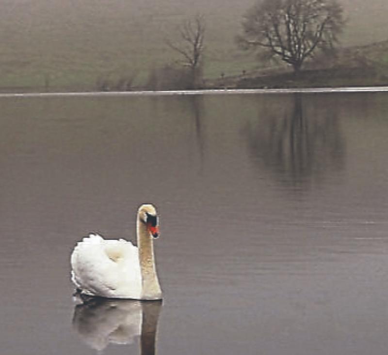 Manch&aacute;n Magan sees ancient site in Limerick in new light following cancer diagnosis