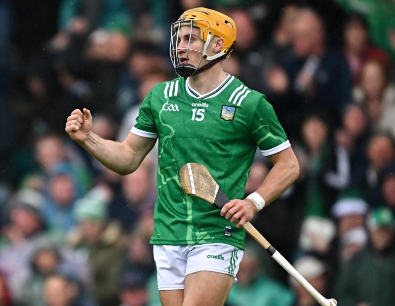 Limerick hurling stars overlooked in Sunday Game team of the year selection