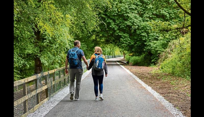 Rathkeale-Limerick Greenway costs under scrutiny