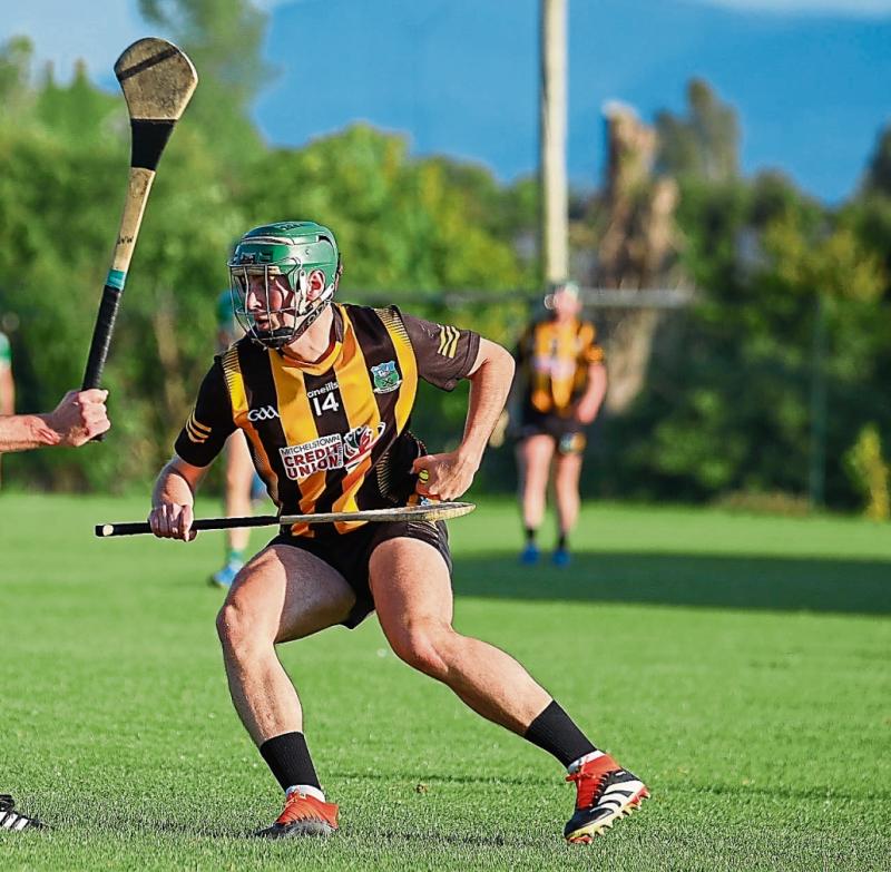 Garryspillane signal intent with clinical Limerick premier intermediate hurling win over 'Liberties'