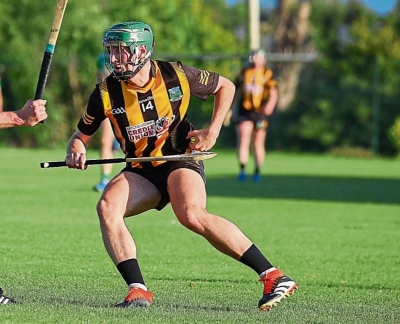 Garryspillane signal intent with clinical Limerick premier intermediate hurling win over 'Liberties'
