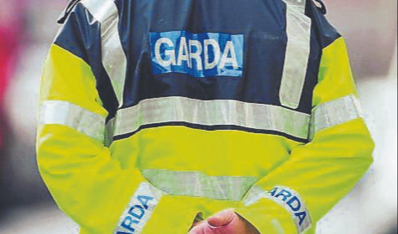 Former student of University of Limerick appointed as garda commissioner