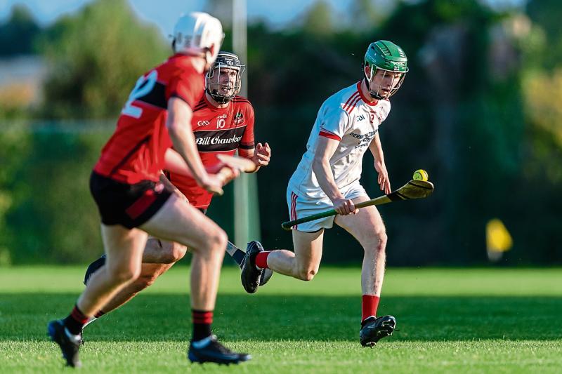 Adare and Monaleen open group two of Limerick Senior Hurling Championship