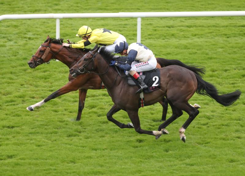 Limerick racing connections enjoy a successful Galway Races Summer Festival