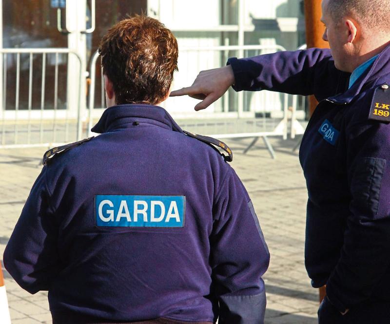 Extra gardai promised to fight crime in Limerick, say local politicians