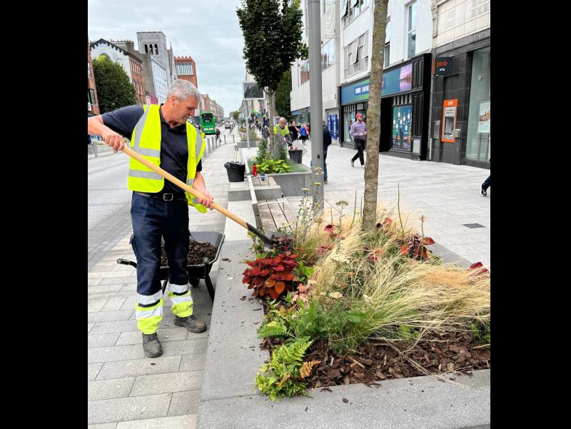 Repaint, repair, replant: Council's ongoing maintenance works across Limerick