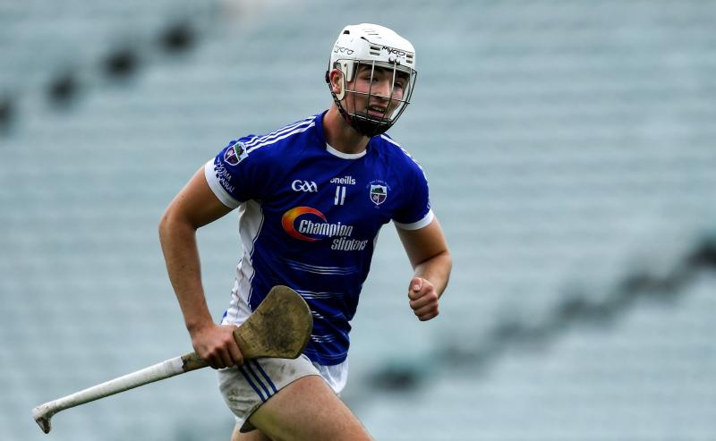 Newcastle West and Kildimo-Pallaskenry settle for a draw in round two of Limerick senior hurling championship
