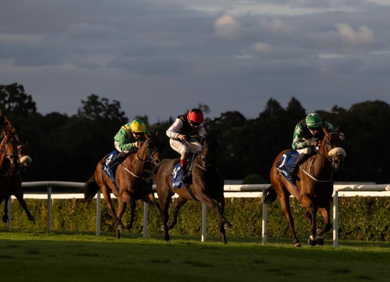 Limerick jockey closes in on 50th winner of the season