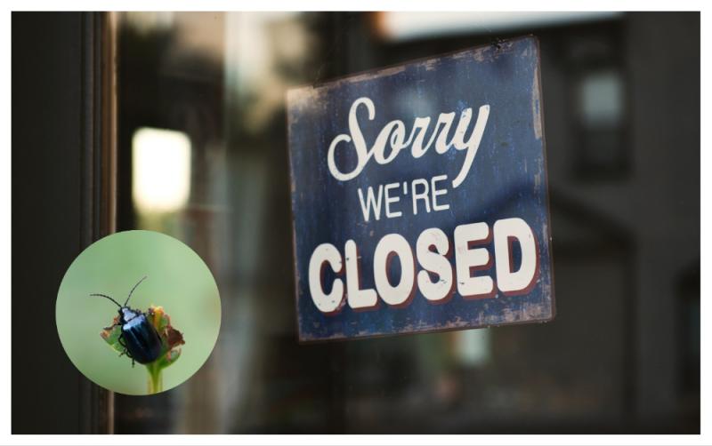 High Court orders closure of Limerick food retailer amid food safety concerns
