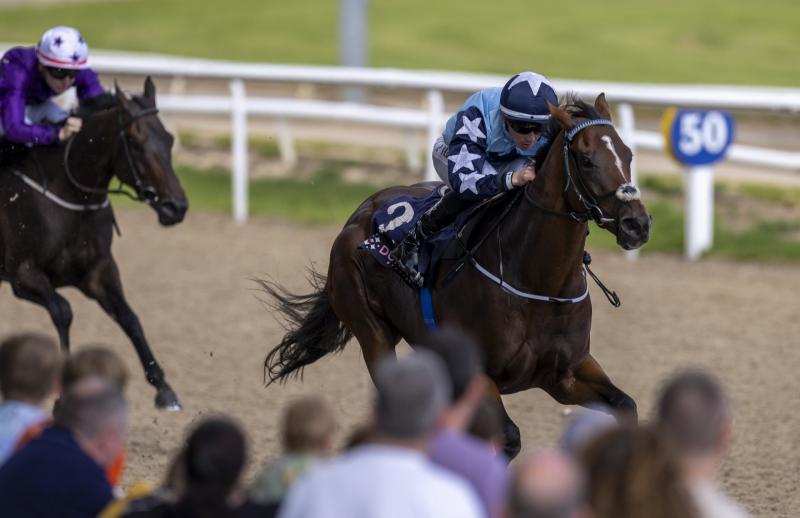 Limerick jockeys enjoy rich vein of form on the racecourse