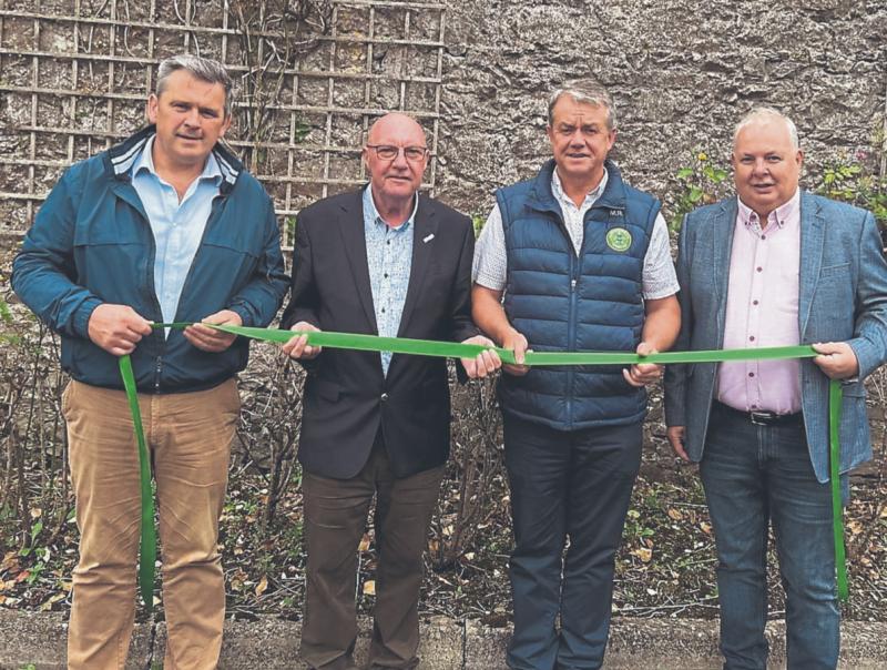 Four Limerick councillors want more ribbons cut on rural housing by relaxing ribbon development rules