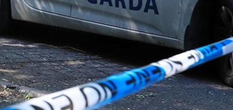 Gardai renew appeal for witnesses to shooting incident in County Limerick